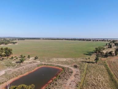 Farm For Sale - NSW - Weethalle - 2669 - Mixed Farming Country At Weethalle  (Image 2)