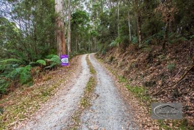 Farm For Sale - TAS - South Forest - 7330 - 9.775 Hectares of Natural Bush with a Small Creek.  (Image 2)