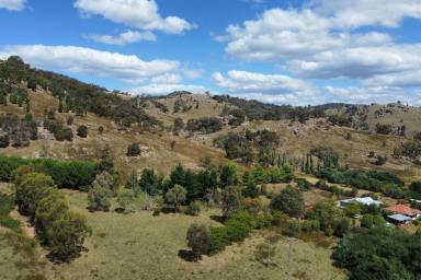 Farm Sold - NSW - Wyangala - 2808 - MUST BE SOLD! SUIT ANYONE HANDY TO RENOVATE - 112ACRES*  (Image 2)