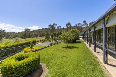 Farm For Sale - NSW - Tumut - 2720 - Nothing more you could ask for  (Image 2)