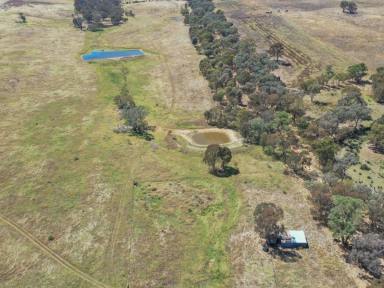Farm Sold - NSW - Young - 2594 - "10 Mile" 120acs* Only 10 Minute's To Town  (Image 2)