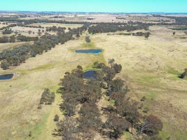 Farm Sold - NSW - Young - 2594 - "10 Mile" 120acs* Only 10 Minute's To Town  (Image 2)