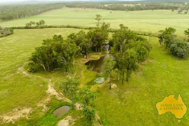 Farm For Sale - QLD - Wattle Camp - 4615 - EXCLUSIVE LISTING approx 300 acres of open grazing  (Image 2)
