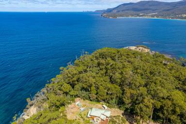 Farm For Sale - TAS - Eaglehawk Neck - 7179 - Private Sanctuary adjoining the dramatic and rugged beauty of Tasman Sea Cliffs along the picturesque East Coast of Tasmania.  (Image 2)