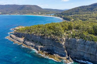 Farm For Sale - TAS - Eaglehawk Neck - 7179 - Private Sanctuary adjoining the dramatic and rugged beauty of Tasman Sea Cliffs along the picturesque East Coast of Tasmania.  (Image 2)