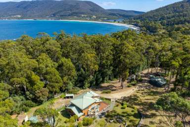 Farm For Sale - TAS - Eaglehawk Neck - 7179 - Private Sanctuary adjoining the rugged Tasman Sea Cliffs  (Image 2)