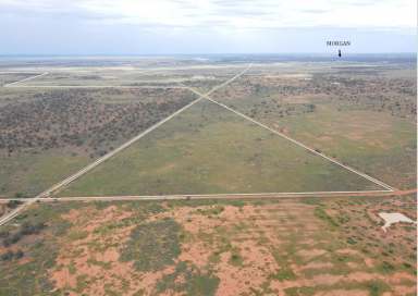 Farm Sold - SA - Morgan - 5320 - 677 Acres - 2 Titles - Shearing Shed & Nissan Hut!  (Image 2)