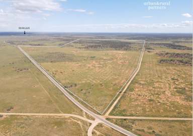 Farm Sold - SA - Morgan - 5320 - 677 Acres - 2 Titles - Shearing Shed & Nissan Hut!  (Image 2)