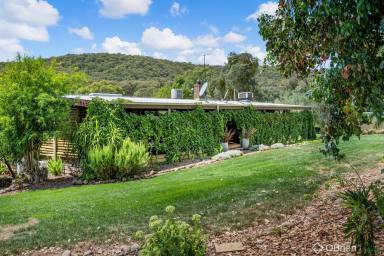 Farm Sold - VIC - Greta South - 3675 - Country Lifestyle Opportunity  (Image 2)