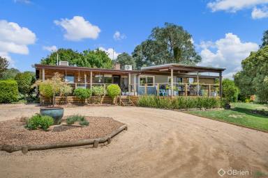 Farm Sold - VIC - Greta South - 3675 - Country Lifestyle Opportunity  (Image 2)