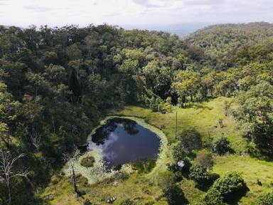 Farm For Sale - QLD - Gaeta - 4671 - 1176 Acres of Timber and Grazing Country  (Image 2)