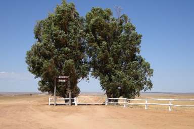 Farm Sold - WA - North Eradu - 6532 - Strong Sandplain Country in Blue Ribbon Location  (Image 2)