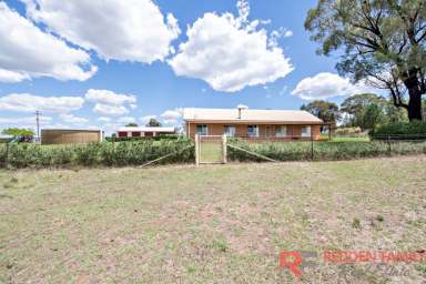 Farm Sold - NSW - Dubbo - 2830 - Tidy Farmlet On 100 Acres !  (Image 2)