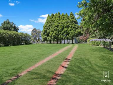 Farm Sold - NSW - Moss Vale - 2577 - A Rare Opportunity  (Image 2)