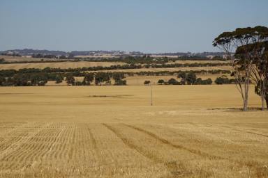Farm Sold - WA - Piesseville - 6315 - Full Sized Farming Opportunity at Wagin  (Image 2)