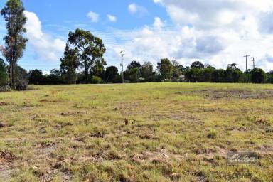 Farm Sold - QLD - Glenwood - 4570 - BE THE TALK OF THE TOWN!  (Image 2)