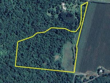 Farm For Sale - QLD - Mossman - 4873 - The Ultimate Lifestyle Block  (Image 2)