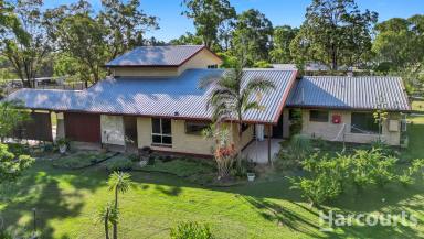 Farm Sold - QLD - Sunshine Acres - 4655 - Dual living on fully fenced five Acres  (Image 2)