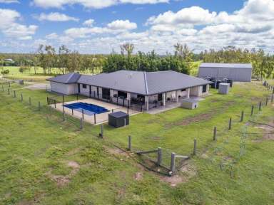 Farm Sold - QLD - Yerra - 4650 - Quiet country living with panoramic Views - Yerra Grazing  (Image 2)