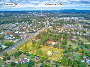 Farm For Sale - QLD - Caboolture - 4510 - Prime Development Property - Already Zoned  (Image 2)