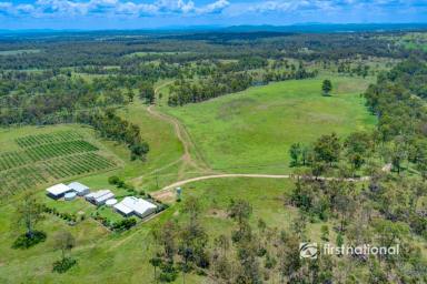 Farm For Sale - QLD - Monduran - 4671 - 1347-ACRES, MODERN AMENITIES, RELIABLE WATER SUPPLY, & HIGH CARRYING CAPACITY  (Image 2)