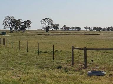 Farm For Sale - VIC - Woodstock On Loddon - 3551 - Expression of Interest ending 31st December - Beautiful Farm  (Image 2)