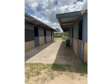 Farm Sold - NSW - Cessnock - 2325 - Horse heaven or investors searching for yield.  (Image 2)