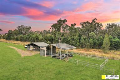 Farm Sold - NSW - Quirindi - 2343 - 15.5 ACRES, MOUNTAIN VIEWS & COUNTRY LIFESTYLE  (Image 2)