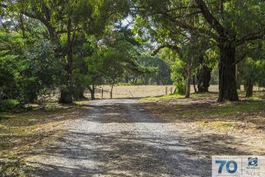 Farm Sold - VIC - Cranbourne South - 3977 - 5 ACRE LIFESTYLE PROPERTY WITH ENDLESS OPPORTUNITIES…  (Image 2)