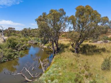 Farm Sold - NSW - Yass - 2582 - Ready For Royalty  (Image 2)