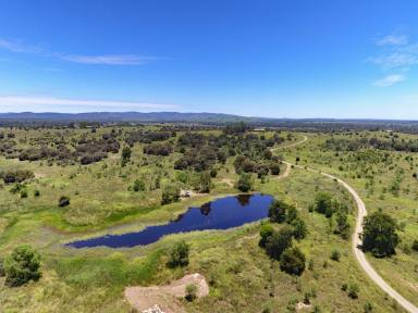 Farm Sold - QLD - Biloela - 4715 - Possibly the Best Outlook in the Valley  (Image 2)