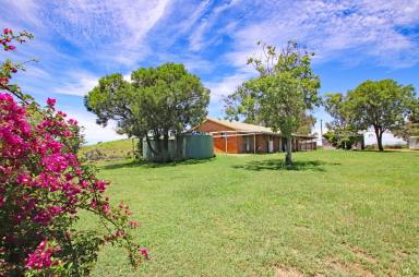 Farm Sold - QLD - Biloela - 4715 - Possibly the Best Outlook in the Valley  (Image 2)
