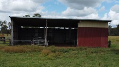 Farm For Sale - NSW - Yorklea - 2470 - Location with an Ideal Rural Opportunity  (Image 2)