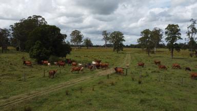 Farm For Sale - NSW - Yorklea - 2470 - Location with an Ideal Rural Opportunity  (Image 2)