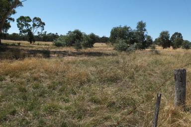 Farm For Sale - VIC - Lamplough - 3352 - 19.7 Acres (approx) LIFESTYLE BLOCK, TOWNSHIP OF AVOCA  (Image 2)