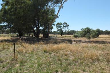 Farm For Sale - VIC - Lamplough - 3352 - 19.7 Acres (approx) LIFESTYLE BLOCK, TOWNSHIP OF AVOCA  (Image 2)