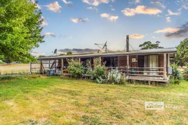 Farm For Sale - VIC - Delegate River - 3888 - New price, Tavern and Cabins.  (Image 2)