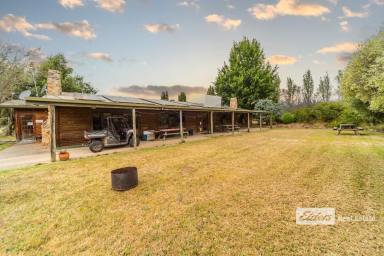 Farm For Sale - VIC - Delegate River - 3888 - New price, Tavern and Cabins.  (Image 2)