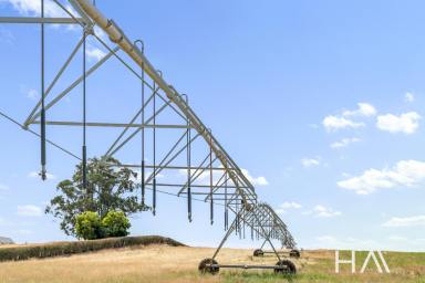 Farm Sold - TAS - Cressy - 7302 - Butleigh Hill - A Stunning Opportunity To Any Rural Enterprise  (Image 2)