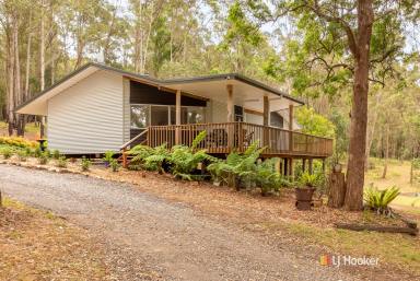 Farm Sold - NSW - Cobargo - 2550 - YOUR RURAL PARADISE AWAITS!  (Image 2)