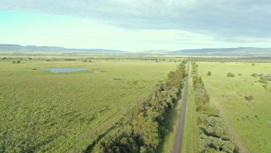 Farm Sold - QLD - Injune - 4454 - Backgrounding - Fattening - Ideal Stud Location  (Image 2)