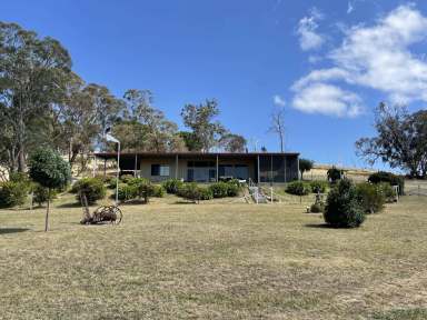 Farm Sold - NSW - Gundagai - 2722 - "What a View"  (Image 2)