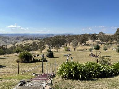 Farm Sold - NSW - Gundagai - 2722 - "What a View"  (Image 2)