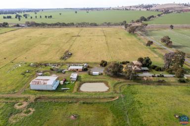 Farm Sold - VIC - Katandra West - 3634 - Large family home on 62 acres  (Image 2)