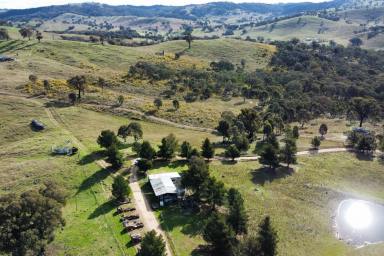 Farm For Sale - NSW - Taylors Flat - 2586 - 101ACRES* - WEEKENDER – POWER – BUILDING ENT - CREEKFRONTAGE !  (Image 2)