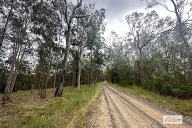 Farm Sold - QLD - Summerholm - 4341 - Back to the Bush on 40 Acres  (Image 2)