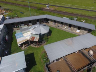 Farm For Sale - NSW - Casino - 2470 - THE STABLES  (Image 2)