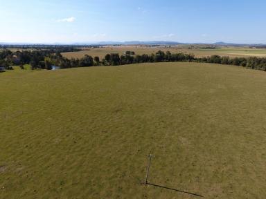 Farm Sold - NSW - Casino - 2470 - 233 Acres for Lease - Dobies Bight  (Image 2)