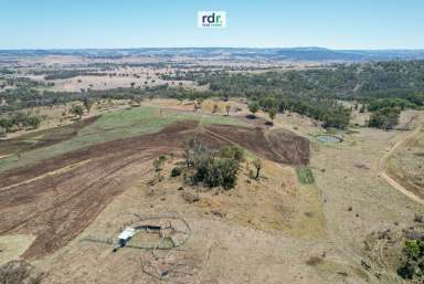 Farm Sold - NSW - Inverell - 2360 - WIDE OPEN SPACES  (Image 2)