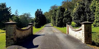 Farm Sold - QLD - Willow Vale - 4209 - LUXURIOUS LARGE HOME ON 10 ACRES IN THE PRISTINE AREA OF WILLOW VALE  GOLD COAST  , SURROUNDED BY MANICURED GROUNDS AND ABUNDANT WILDLIFE  (Image 2)